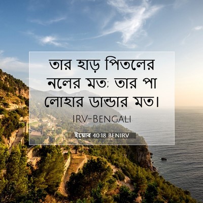 Picture 07 - ইয়োব 40:18 BENIRV - তার হাড় পিতলের - Bible Verse Picture