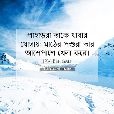 Picture 07 - ইয়োব 40:20 BENIRV - পাহাড়রা তাকে - Bible Verse Picture