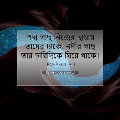 Picture 07 - ইয়োব 40:22 BENIRV - পদ্ম গাছ নিজের - Bible Verse Picture