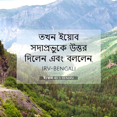 Picture 07 - ইয়োব 40:3 BENIRV - তখন ইয়োব - Bible Verse Picture