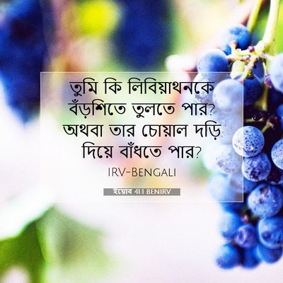 Picture 07 - ইয়োব 41:1 BENIRV - তুমি কি - Bible Verse Picture
