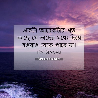 Picture 07 - ইয়োব 41:16 BENIRV - একটা আরেকটার এত - Bible Verse Picture