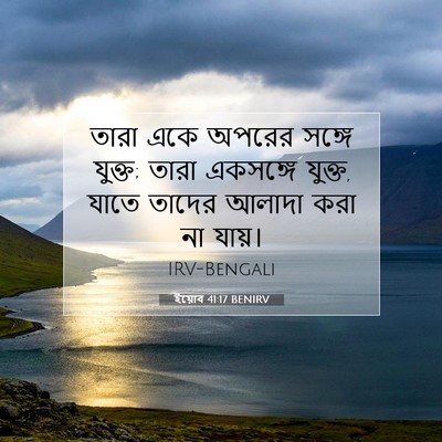 Picture 07 - ইয়োব 41:17 BENIRV - তারা একে অপরের - Bible Verse Picture