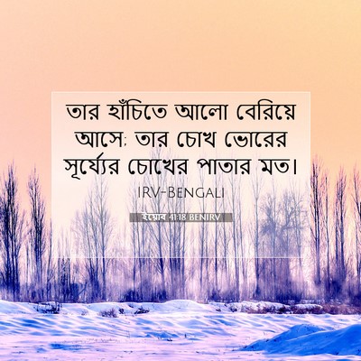 Picture 07 - ইয়োব 41:18 BENIRV - তার হাঁচিতে আলো - Bible Verse Picture