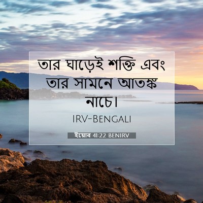 Picture 07 - ইয়োব 41:22 BENIRV - তার ঘাড়েই শক্তি - Bible Verse Picture
