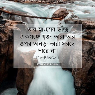 Picture 07 - ইয়োব 41:23 BENIRV - তার মাংসের ভাঁজ - Bible Verse Picture