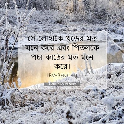 Picture 07 - ইয়োব 41:27 BENIRV - সে লোহাকে খড়ের মত - Bible Verse Picture