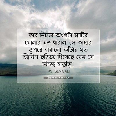 Picture 07 - ইয়োব 41:30 BENIRV - তার নিচের অংশটা - Bible Verse Picture