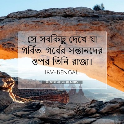 Picture 07 - ইয়োব 41:34 BENIRV - সে সবকিছু দেখে যা - Bible Verse Picture