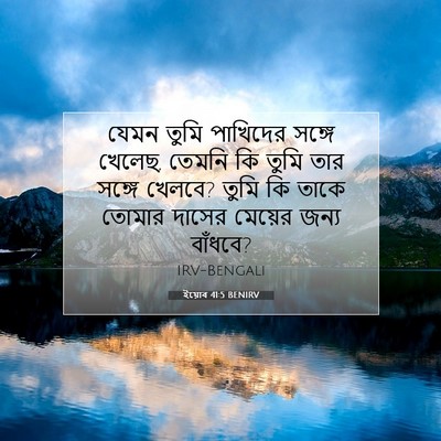 Picture 07 - ইয়োব 41:5 BENIRV - যেমন তুমি পাখিদের - Bible Verse Picture