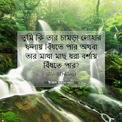 Picture 07 - ইয়োব 41:7 BENIRV - তুমি কি তার চামড়া - Bible Verse Picture