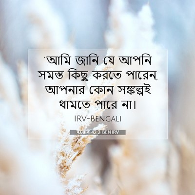 Picture 07 - ইয়োব 42:2 BENIRV - “আমি জানি যে আপনি - Bible Verse Picture