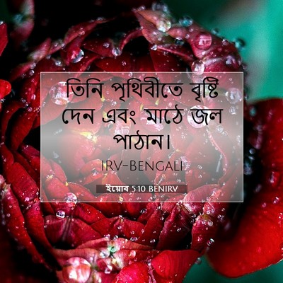 Picture 07 - ইয়োব 5:10 BENIRV - তিনি পৃথিবীতে - Bible Verse Picture