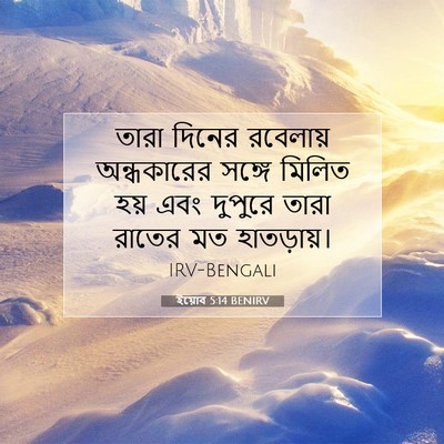 Picture 07 - ইয়োব 5:14 BENIRV - তারা দিনের - Bible Verse Picture