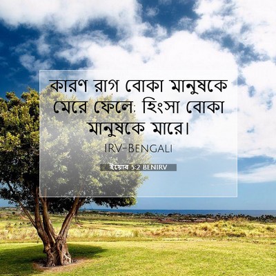 Picture 07 - ইয়োব 5:2 BENIRV - কারণ রাগ বোকা - Bible Verse Picture