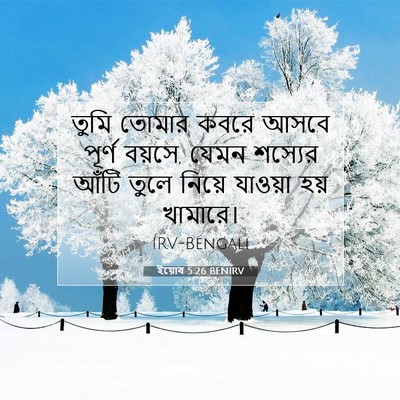Picture 07 - ইয়োব 5:26 BENIRV - তুমি তোমার কবরে - Bible Verse Picture