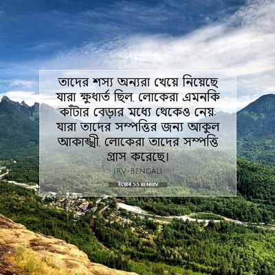 Picture 07 - ইয়োব 5:5 BENIRV - তাদের শস্য অন্যরা - Bible Verse Picture
