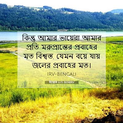 Picture 07 - ইয়োব 6:15 BENIRV - কিন্তু আমার - Bible Verse Picture