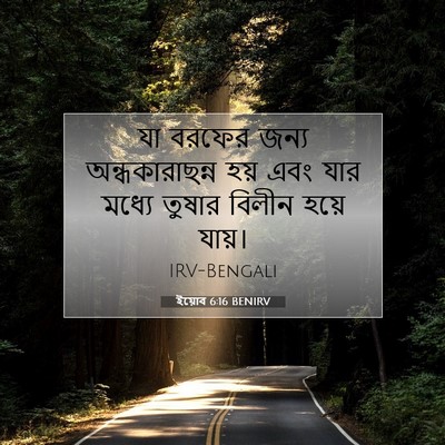 Picture 07 - ইয়োব 6:16 BENIRV - যা বরফের জন্য - Bible Verse Picture