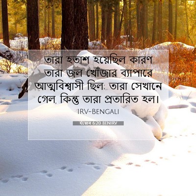 Picture 07 - ইয়োব 6:20 BENIRV - তারা হতাশ হয়েছিল - Bible Verse Picture