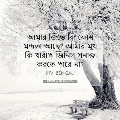 Picture 07 - ইয়োব 6:30 BENIRV - আমার জিভে কি কোন - Bible Verse Picture