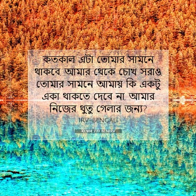 Picture 07 - ইয়োব 7:19 BENIRV - কতকাল এটা তোমার - Bible Verse Picture