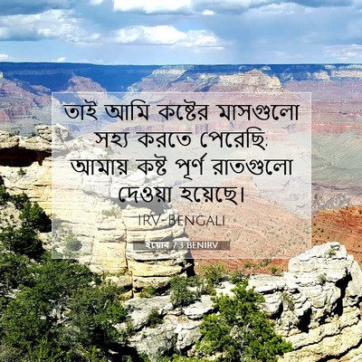 Picture 07 - ইয়োব 7:3 BENIRV - তাই আমি কষ্টের - Bible Verse Picture