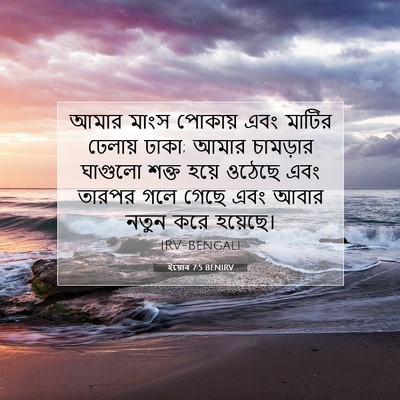 Picture 07 - ইয়োব 7:5 BENIRV - আমার মাংস পোকায় - Bible Verse Picture