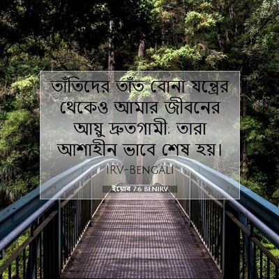 Picture 07 - ইয়োব 7:6 BENIRV - তাঁতিদের তাঁত - Bible Verse Picture