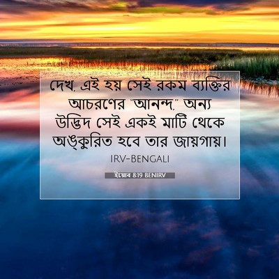 Picture 07 - ইয়োব 8:19 BENIRV - দেখ, এই হয় সেই রকম - Bible Verse Picture