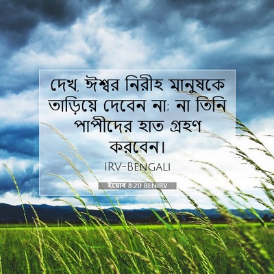 Picture 07 - ইয়োব 8:20 BENIRV - দেখ, ঈশ্বর নিরীহ - Bible Verse Picture
