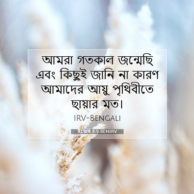 Picture 07 - ইয়োব 8:9 BENIRV - আমরা গতকাল - Bible Verse Picture