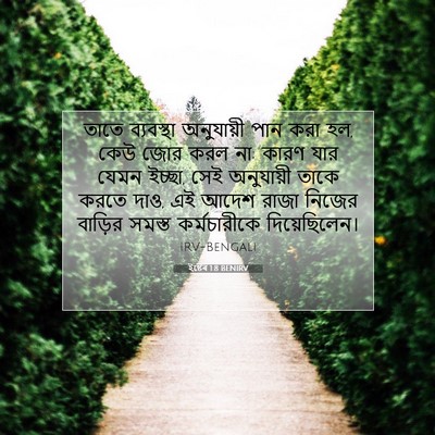 Picture 07 - ইষ্টেৰ 1:8 BENIRV - তাতে ব্যবস্থা - Bible Verse Picture
