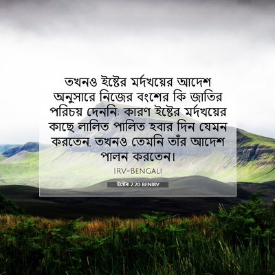 Picture 07 - ইষ্টেৰ 2:20 BENIRV - তখনও ইষ্টের - Bible Verse Picture