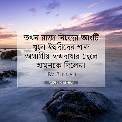 Picture 07 - ইষ্টেৰ 3:10 BENIRV - তখন রাজা নিজের - Bible Verse Picture