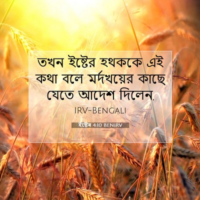 Picture 07 - ইষ্টেৰ 4:10 BENIRV - তখন ইষ্টের হথককে - Bible Verse Picture