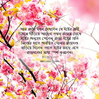 Picture 07 - ইষ্টেৰ 5:2 BENIRV - আর রাজা যখন দেখলেন - Bible Verse Picture