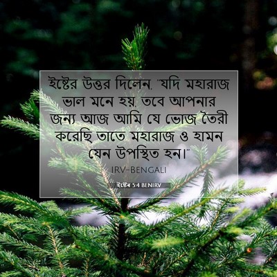 Picture 07 - ইষ্টেৰ 5:4 BENIRV - ইষ্টের উত্তর - Bible Verse Picture