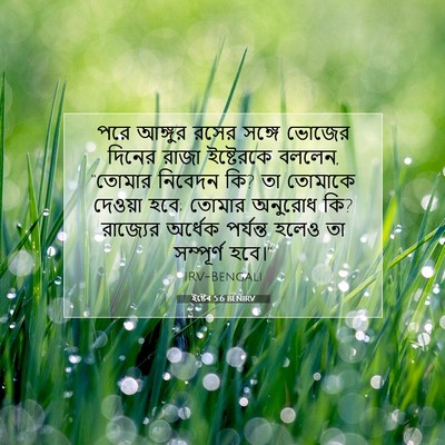 Picture 07 - ইষ্টেৰ 5:6 BENIRV - পরে আঙ্গুর রসের - Bible Verse Picture