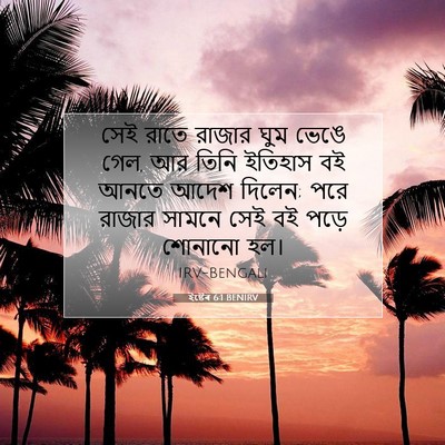 Picture 07 - ইষ্টেৰ 6:1 BENIRV - সেই রাতে রাজার ঘুম - Bible Verse Picture