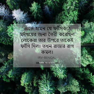 Picture 07 - ইষ্টেৰ 7:10 BENIRV - তাতে হামন যে - Bible Verse Picture