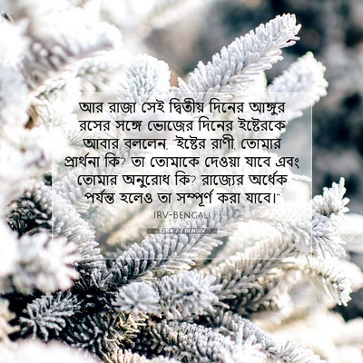 Picture 07 - ইষ্টেৰ 7:2 BENIRV - আর রাজা সেই - Bible Verse Picture