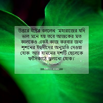 Picture 07 - ইষ্টেৰ 9:13 BENIRV - উত্তরে ইষ্টের - Bible Verse Picture