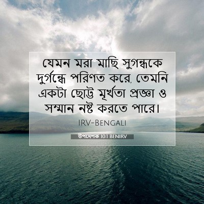 Picture 07 - উপদেশক 10:1 BENIRV - যেমন মরা মাছি - Bible Verse Picture