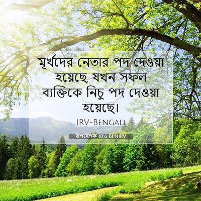 Picture 07 - উপদেশক 10:6 BENIRV - মূর্খদের নেতার পদ - Bible Verse Picture
