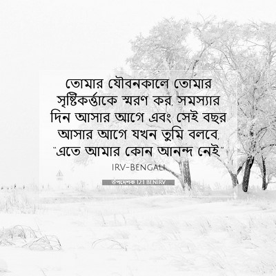 Picture 07 - উপদেশক 12:1 BENIRV - তোমার যৌবনকালে - Bible Verse Picture