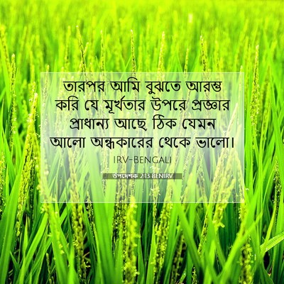Picture 07 - উপদেশক 2:13 BENIRV - তারপর আমি বুঝতে - Bible Verse Picture