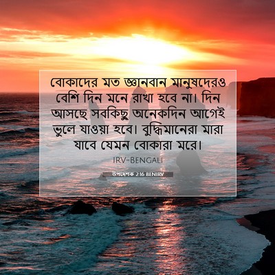 Picture 07 - উপদেশক 2:16 BENIRV - বোকাদের মত - Bible Verse Picture