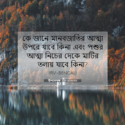 Picture 07 - উপদেশক 3:21 BENIRV - কে জানে মানবজাতির - Bible Verse Picture
