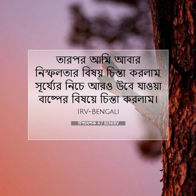 Picture 07 - উপদেশক 4:7 BENIRV - তারপর আমি আবার - Bible Verse Picture